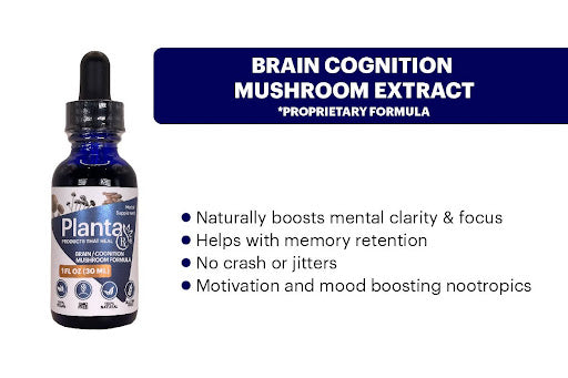 Achieving Optimal Cognitive Function with Planta Rx® Brain/Cognition Mushroom and Herbal Extract