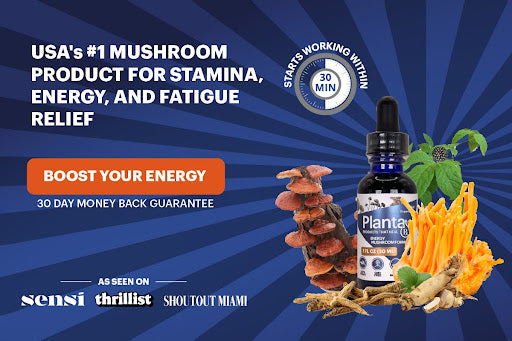 Sustainable Energy: Unveiling PlantaRx® Energy Mushroom Blend