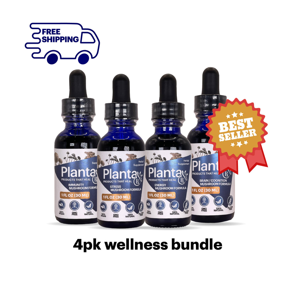 4 PK Wellness Mushroom Bundle