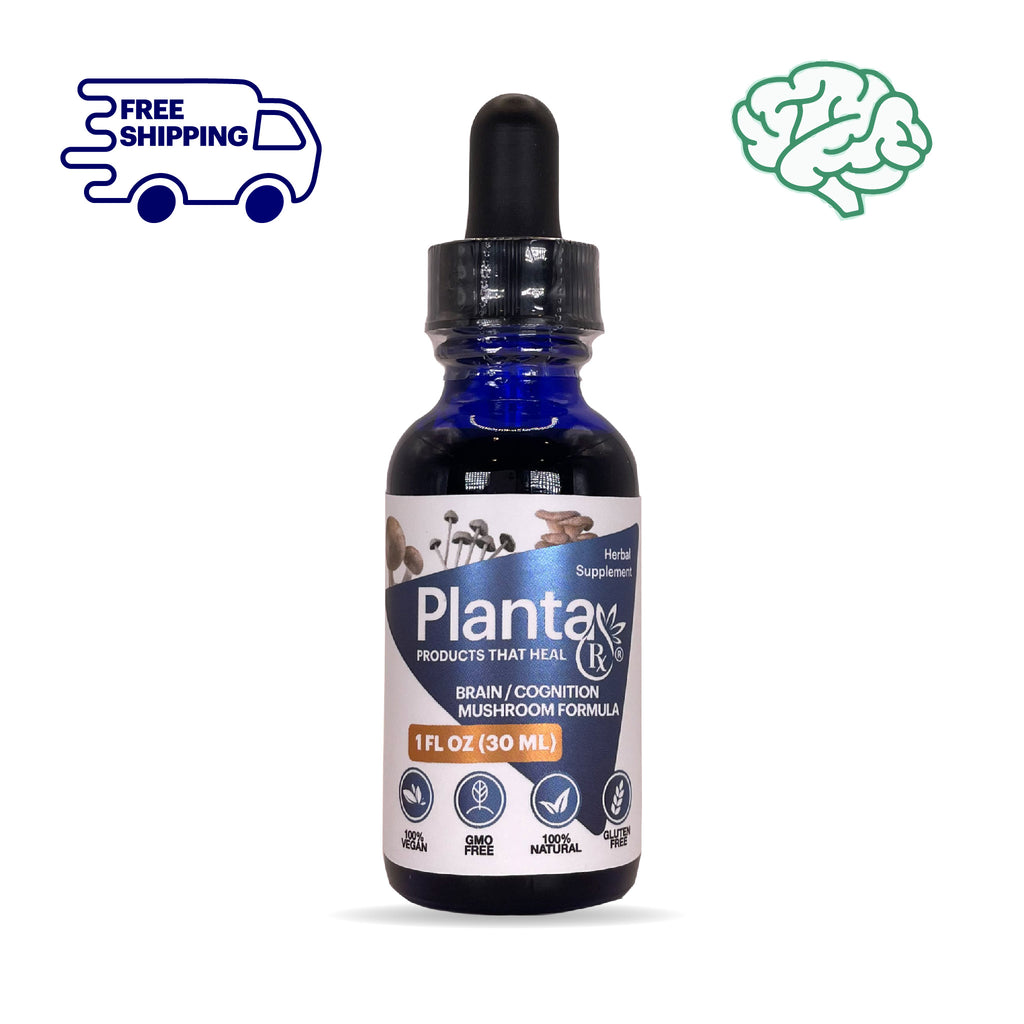 BRAIN - Mushroom Formula Extract