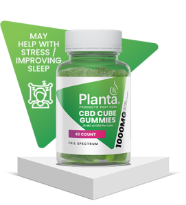 Do Mushroom Gummies Taste Like Mushrooms?